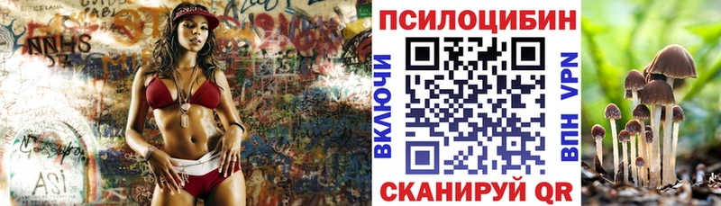 Псилоцибиновые грибы мицелий дарк нет наркотические препараты Буинск купить сайты
